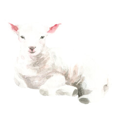 Watercolor farm animals together. Lamb domestic pet isolated cute spring flora animal. Nursery woodland illustration. Farmhouse Easter for baby shower invitation, nursery decor, print, greeting card