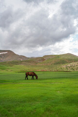 Obraz premium scenic views from the Lake Eğrigöl, a hidden gem sitting at 2,350 m. in the foothills of Geyik Mountain in Antalya, and the region described as 