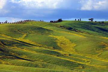 Obraz premium Typical summer landscape in Tuscany, Italy, Europe