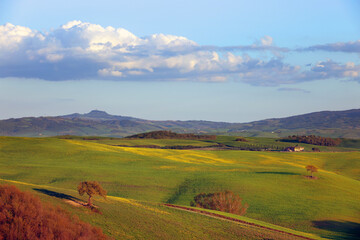 Fototapeta premium Typical summer landscape in Tuscany, Italy, Europe