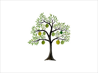 durian tree with ripe durian fruit vector illustrations