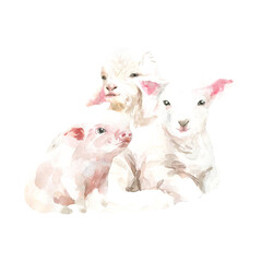Watercolor farm animals together. domestic pet isolated cute spring flora animal. Nursery woodland illustration. Farmhouse Easter for baby shower invitation, nursery decor, print, greeting card