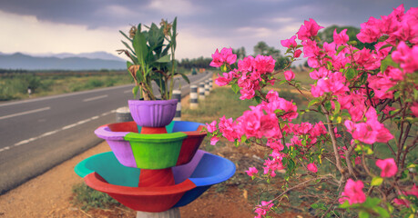 Fully bloomed lovely bougainvillea flowers in a nursery with a majestic mountain background and with a dark rainy clouds
