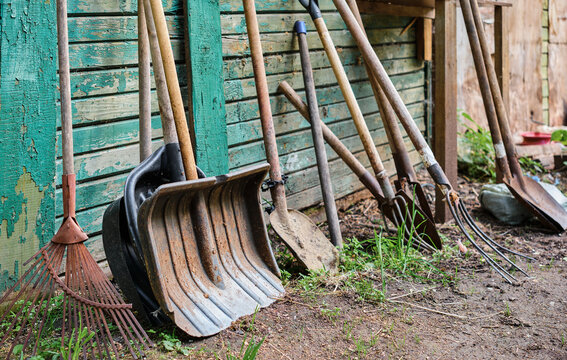 Gardening old tools on a wooden peeled green wall, vegetable garden and farming equipment. Selective focus, hand agricultural tool, work on the ground