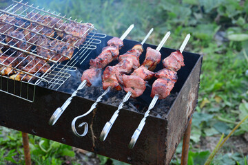 pieces of meat on chargrill with smoke from coal, close-up