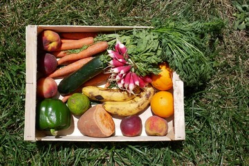 Fruits et légumes dans une cagette en bois posée sur l'herbe. Vue d'en haut. Concept...