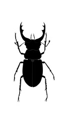 beetle horn vector graphic design template