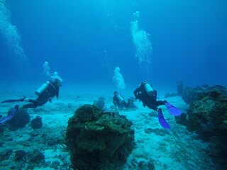 Fototapeta na wymiar Taucher schwimmen an Korallen vorbei in blaue Meer.