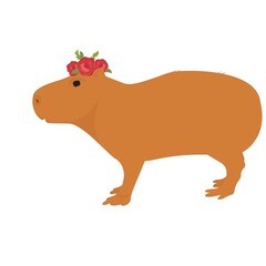 Capybara vector stock illustration. Cute rodent. A mammalian animal with a wreath of flowers on its head. Isolated on a white background.