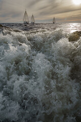 Fototapety na wymiar - Fototapeta24.pl