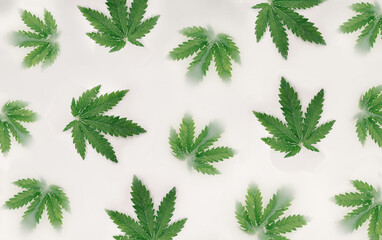 Pattern made whit marijuana leaves and white liquid. Flat lay.