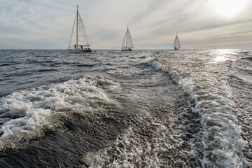 Fototapety na wymiar - Fototapeta24.pl