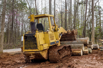 Fototapeta na wymiar Freshly cut trees for residential construction site in backhoe clearing forest on land clearing