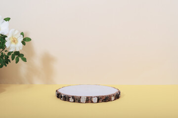 Abstract minimal scene with geometric shapes. Cylindrical wooden podium.