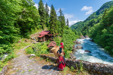 Women is carrying basket with Traditional clothes on bridge ovet Firtina Stream view in Rize...