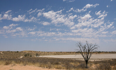Bitterpan (meaning bitter pan) in the Kgalagadi