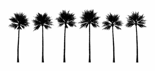 Dotwork palm tree silhouette collection. Set of tropical tree elements for vacation booklet in tettoo or retro style.