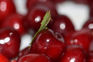 cherries in the garden