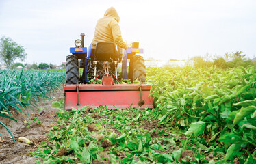 Farmer on a tractor cultivates the soil after harvesting. Seasonal farm work. Selective focus