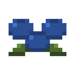 pixel blueberry
