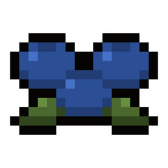 pixel blueberry

