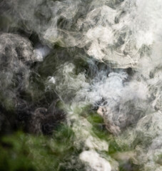 White smoke against a natural black and green background.