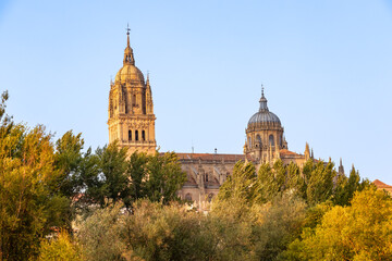 Fototapeta na wymiar Partial View of Salamanca Cathedral behind the trees of the river Tormes at sunset