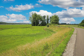 Beautiful rural countryside idyllic belgian landscape, vibrant strong green meadows, trees, bike cycle path, blue summer sky - Maasvallei, Limburg, Belgium