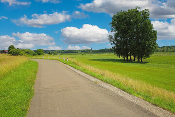 Fototapeta na wymiar Beautiful rural countryside idyllic belgian landscape, vibrant strong green meadows, trees, bike cycle path, blue summer sky - Maasvallei, Limburg, Belgium
