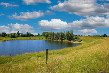 Beautiful dutch farm lake in idyllic countryside, blue summer sky white fluffy clouds -  Maasvallei, Limburg, Netherlands