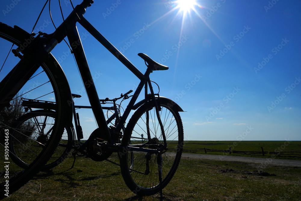 Wall mural bicycles stand in backlight against the background of a green field with the sun