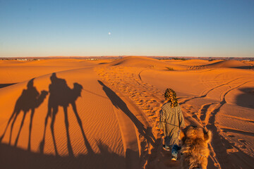 Shadow of camels mounted with people, led by a Moroccan guide with typical clothing, during sunset
in the Sahara desert.