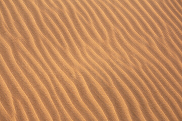 Close-up of the sand of the Sahara desert during the day