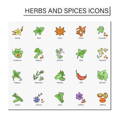 Obraz premium Herbs and spices color icons set. Different types of seasoning. Hot-tasting condiment.Food preparation concept. Isolated vector illustrations