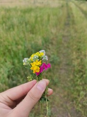Fototapeta na wymiar flowers in the hand