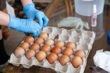 Hands in rubber gloves sorting fresh chicken eggs..