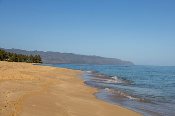 Fototapeta na wymiar Morning at the Beach in Hawaii