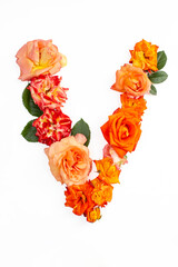 Capital letter V made with orange roses, isolated on white background