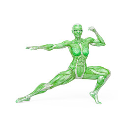 female bodybuilder is doing an action pose in white background