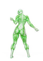 female bodybuilder is dancing in white background rear view