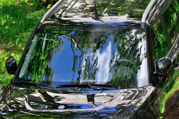 The sky and trees are reflected in the windshield glass of the car