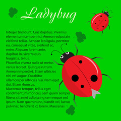 ladybug flyer