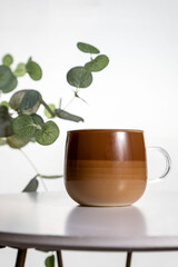 Cafe latte macchiato layered coffee in a see through glass coffee cup. The cup is on a white background .