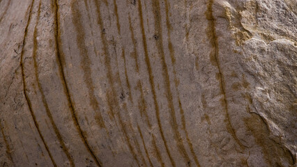 Natural Abstraction in Stone