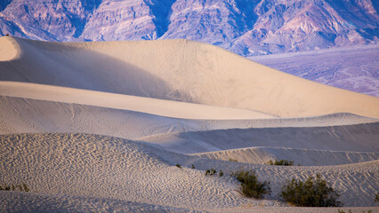 Sand Dunes from Death Valley