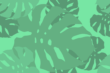 A seamless pattern from silhouettes of monstera leaves. green tropical background
