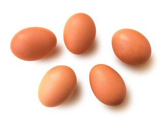 Chicken eggs isolated on white background