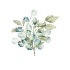 Watercolor eucalyptus bouquet. Green leaves branch collection, for wedding stationary, greetings, wallpapers, fashion, background.