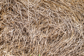 Straw, dry straw texture background, vintage style for design. Homogeneous yellow straw in a stack....