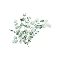 Obraz premium Watercolor eucalyptus bouquet. Green leaves branch collection, for wedding stationary, greetings, wallpapers, fashion, background.
